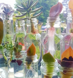 绿化景观设计，提升环境品质，创造宜人空间