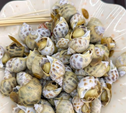 绿化景观设计，提升环境品质，创造宜人空间