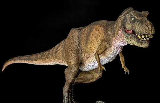 绿化景观设计，提升环境品质，创造宜人空间