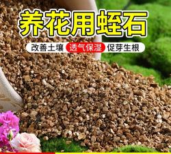 绿化景观设计，提升环境品质，创造宜人空间