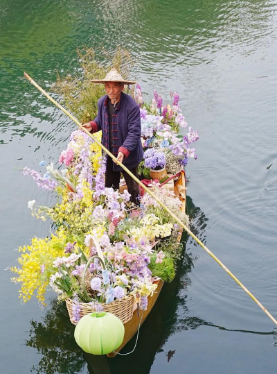 家庭养花用生根粉