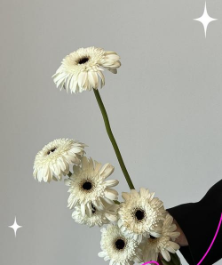 白色弗朗瓶养花