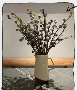 尤加利果干养花