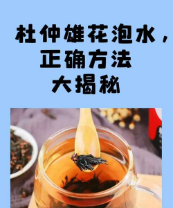 药液养花可以吗