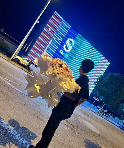 绿化景观设计，提升环境品质，创造宜人空间