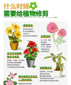 绿化景观设计，提升环境品质，创造宜人空间