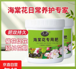 春季海棠用什么肥料