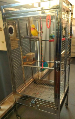 无土栽培技术，突破土壤限制，开启高效种植新篇章