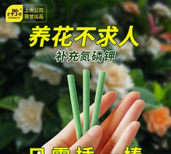家庭养花用生根粉