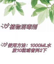 家庭养花用生根粉