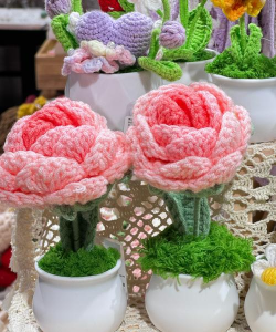 栀子花怎么养，掌握浇水技巧，避免黄叶掉苞