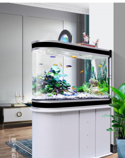 子弹头鱼缸养花