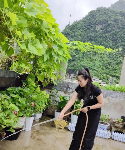 家庭养花用生根粉