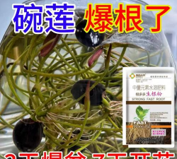 家庭养花用生根粉