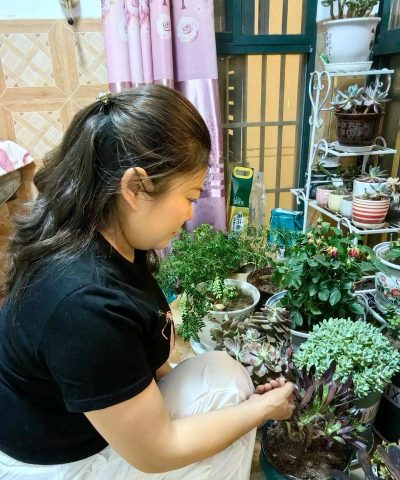 家庭养花用生根粉