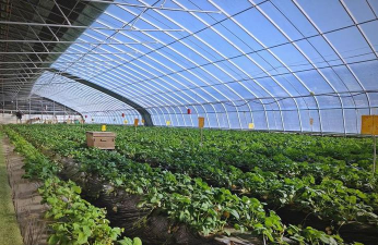 绿化景观设计，提升环境品质，创造宜人空间