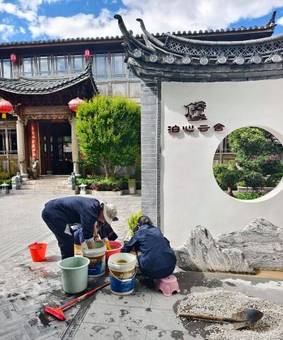 家庭养花用生根粉