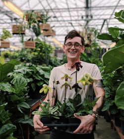 家庭养花用生根粉