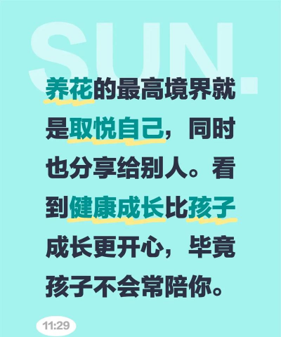 养花的最高境界评论