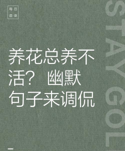 养花不是花文案短句