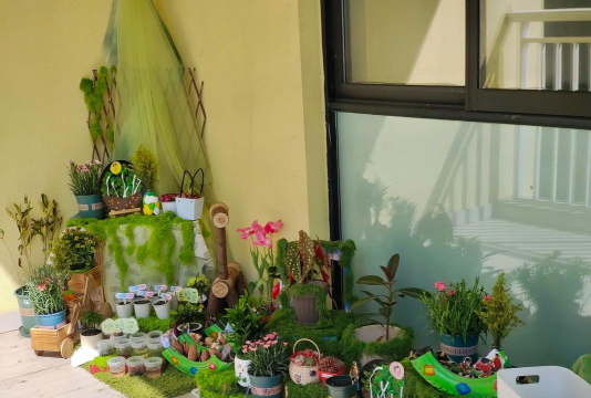 家庭养花用生根粉