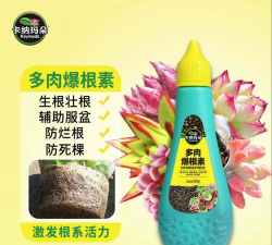 家庭养花用生根粉