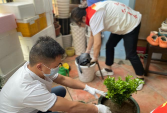 家庭养花用生根粉