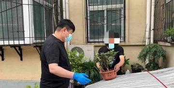 家庭养花用生根粉