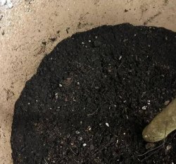 东北种菜养花通用黑土