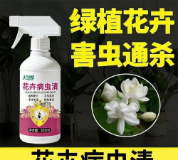 家庭养花用生根粉