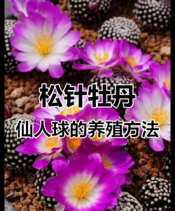 松球松针哪个养花更好