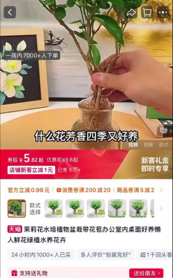 家庭养花用生根粉