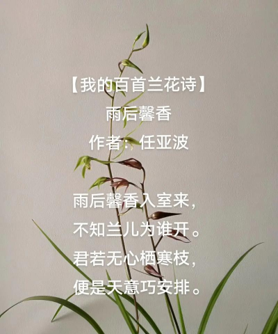 家里养花记住这首诗