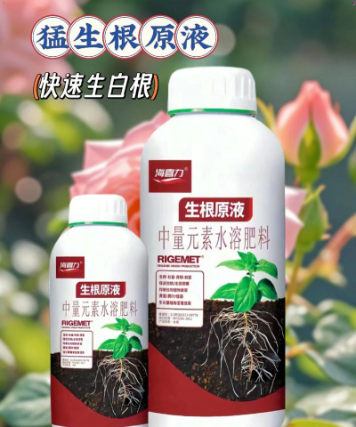 家庭养花用生根粉