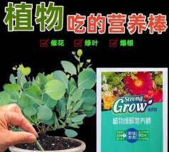家庭养花用生根粉