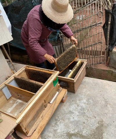 家庭养花用生根粉