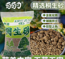 家庭养花用生根粉