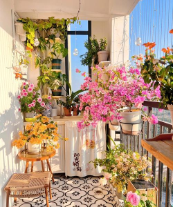 奶油风入户花园养花