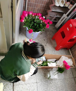 家庭养花用生根粉