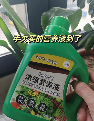 家庭养花用生根粉