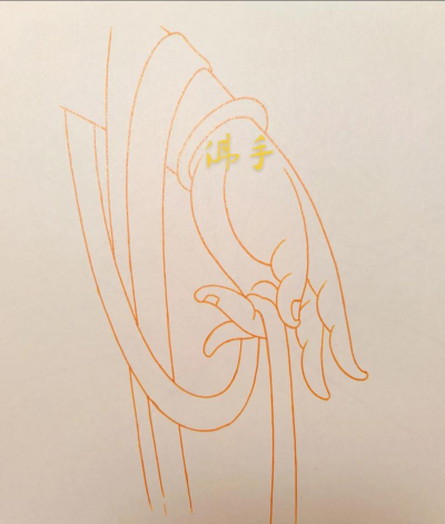 佛手怎么种好看