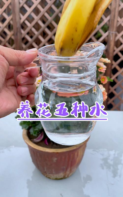 家庭养花用生根粉