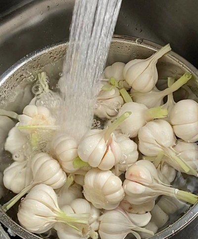 葡萄栽培，掌握关键技术，实现优质丰产