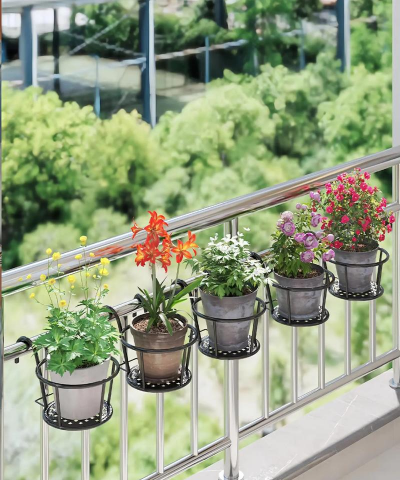 芍药花怎么养，掌握关键要点，花开更鲜艳