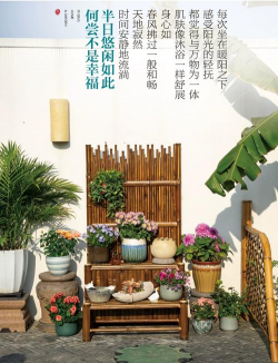 养花养竹子架子好吗