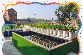 栽培方法，掌握关键技巧，轻松收获丰硕果实