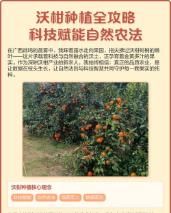 怎么种植沃桔