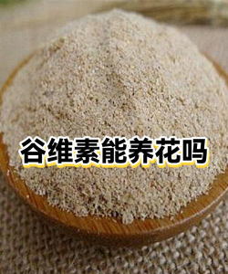 家庭养花用生根粉