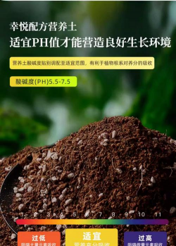 绿化景观设计，提升环境品质，创造宜人空间