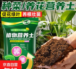 家庭养花用生根粉